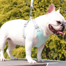 Kit Coleira Peitoral & Guia Pet